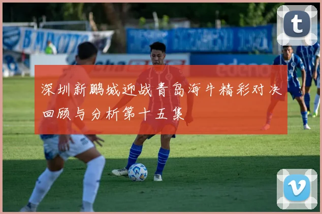 深圳新鹏城迎战青岛海牛精彩对决回顾与分析第十五集