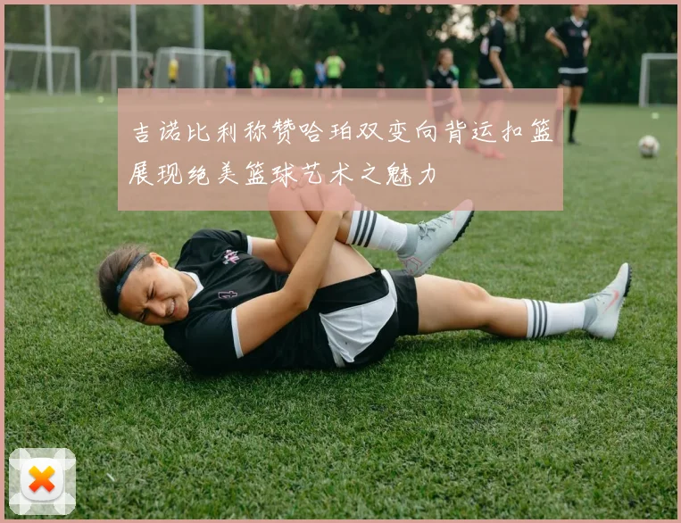 吉诺比利称赞哈珀双变向背运扣篮展现绝美篮球艺术之魅力